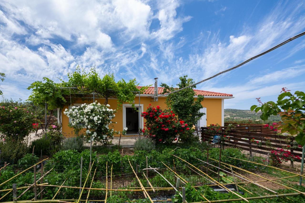 Adonino Residence-The House Of Pomegranates Lakíthra Exterior foto